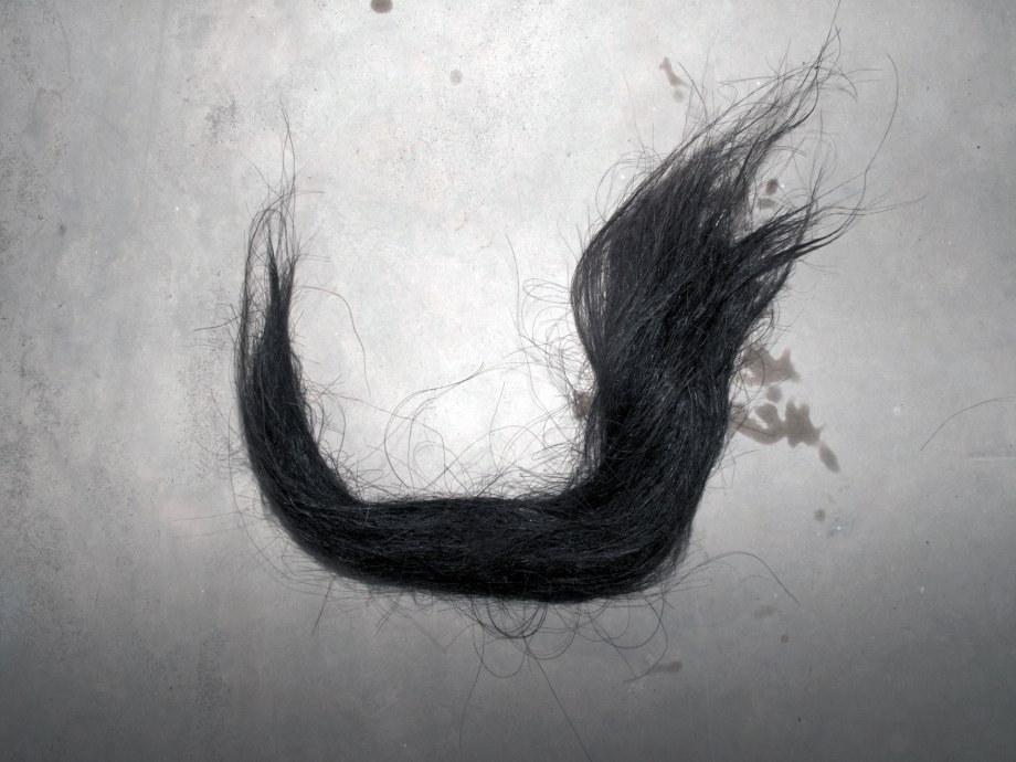 14275362936_c6cbceb234_o